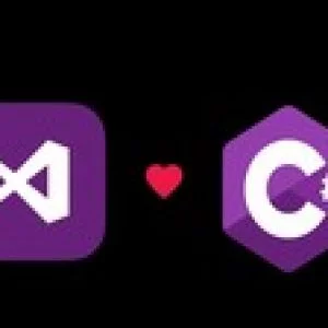 The Complete C#+Visual Studio Developer Course For Beginners