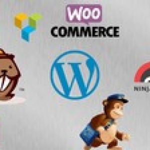 The Complete Guide to the Best 200 WordPress Plugins