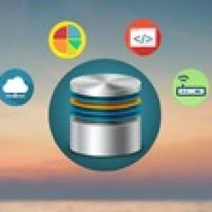 SAP S/4HANA Training - in Plain English