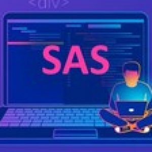 Complete SAS Bootcamp