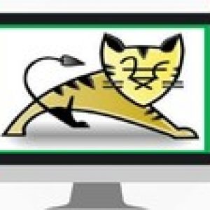 Apache Tomcat Server from Beginners to Advanced