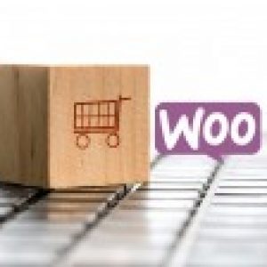 Jumpstart Your Ecommerce Business With Wordpress Woocommerce