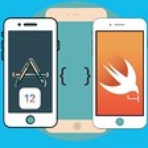 iOS 12 & Swift: The Complete Developer Course (Project base)
