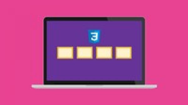 The CSS Flexbox Guide: Build 5 Real Flexible Layouts!