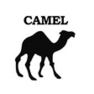 Apache Camel for Beginners - Learn by Coding in Java