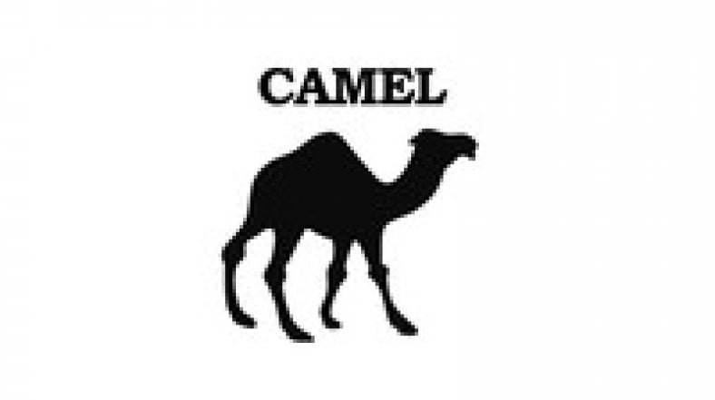 Apache Camel for Beginners - Learn by Coding in Java - Reviews & Coupon ...