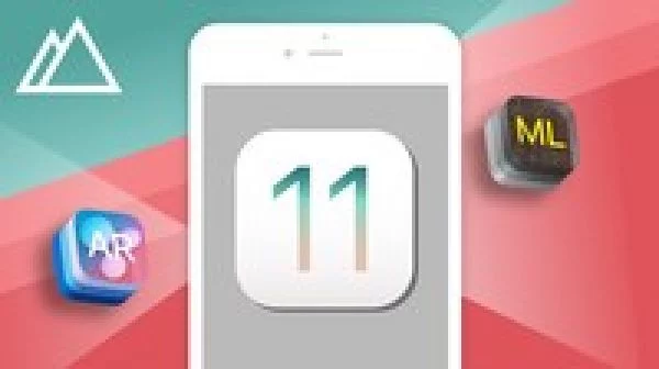 iOS 11 & Swift 4: From Beginner to Paid Professional