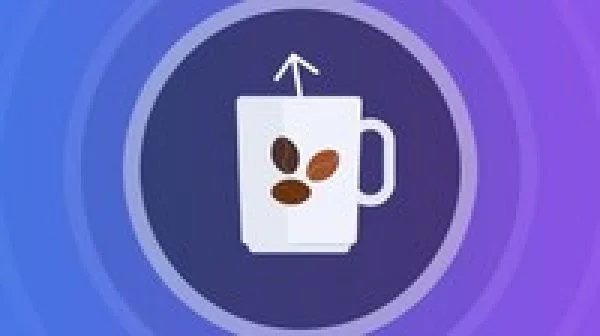 Java Streams API Developer Guide