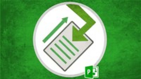 Microsoft Project Planning and time management.