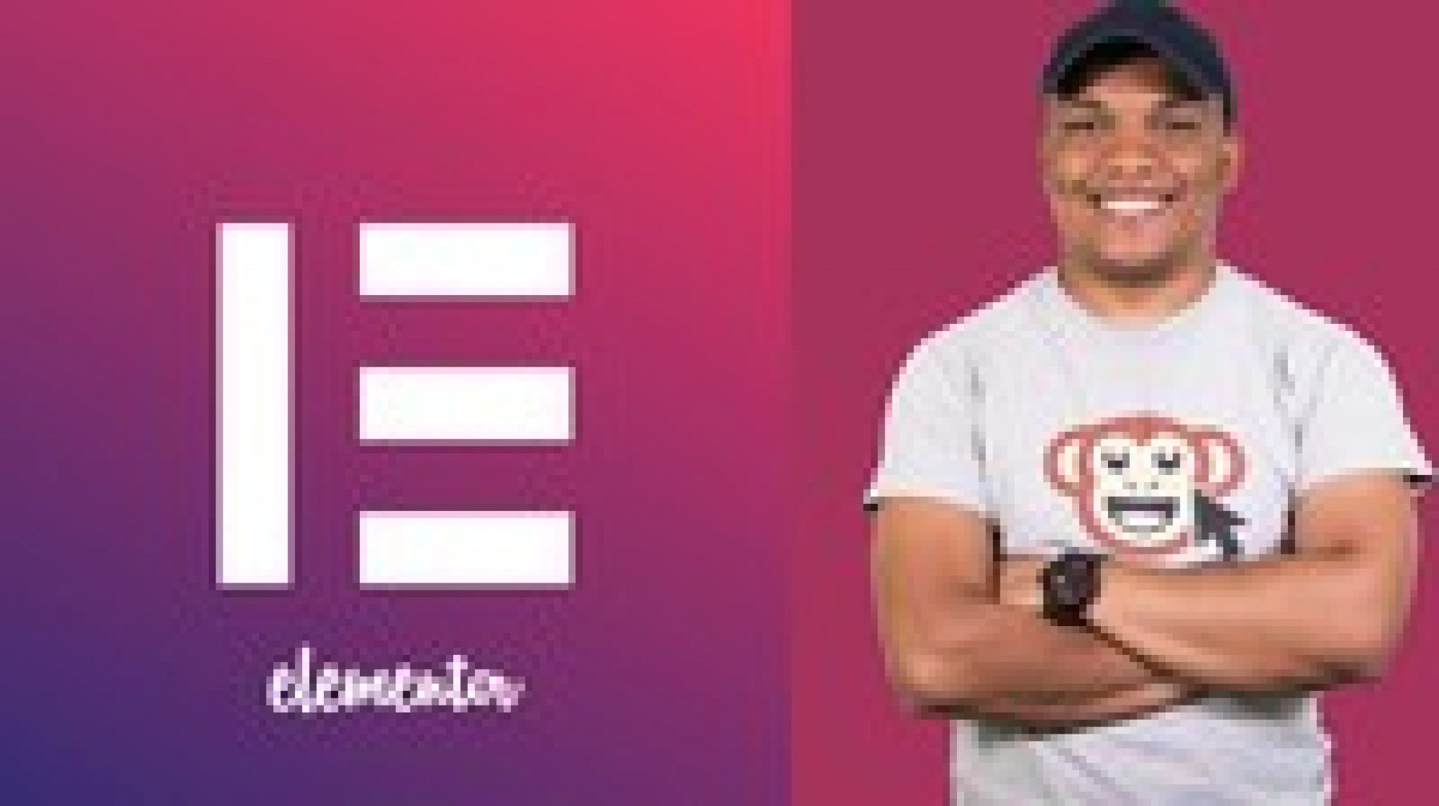 elementor wordpress