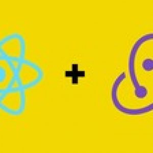 Learn React & Redux: From Beginner To Paid Professional