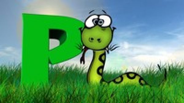 Python 3 from Beginner to Expert - Learn Python from Scratch