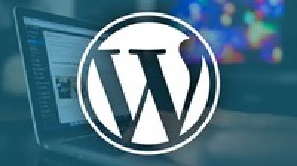 The WordPress Bootcamp: Build 11 Websites with WordPress