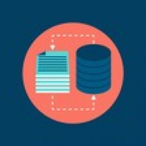 Oracle PL/SQL Fundamentals & Database Design 3course bundle