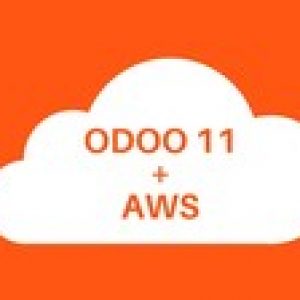 The Complete Guide To Install Odoo on AWS Cloud with Nginx