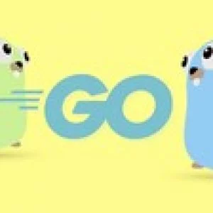 Go (Golang): The Complete Bootcamp [Updated: December 2019]