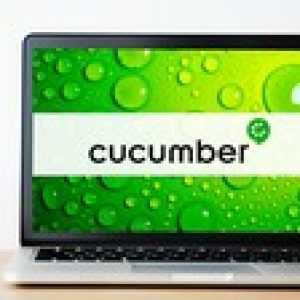 Cucumber with Java-Build Automation Framework in lesser code