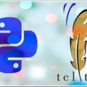 Complete Python GUI With Tkinter - Two Real World Projects