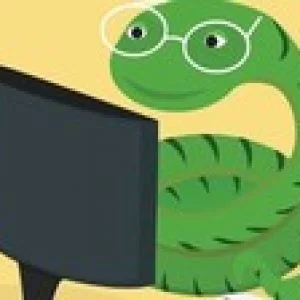 Data visualization and Descriptive Statistics with Python 3