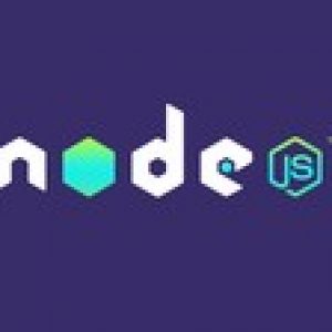 Node.js: The Complete Guide to Build RESTful APIs (2018)
