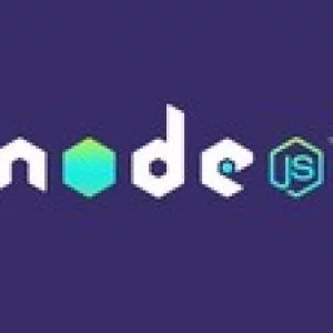 Node.js: The Complete Guide to Build RESTful APIs (2018)