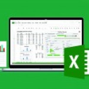 The Ultimate Excel Programmer Course