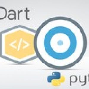 Google DART Programming HANDS-ON with PYTHON File Handling