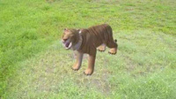 Build 4 Augmented Reality (AR) apps with ARCORE and Unity