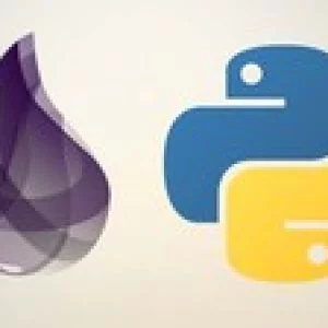 Python and Elixir Programming Bundle Course