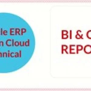 Oracle Fusion Technical-Business Intelligence & OTBI Reports