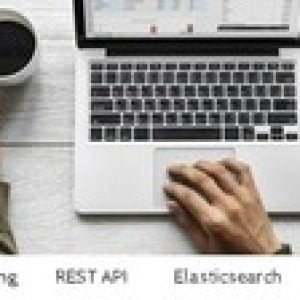 Practical Java : Spring Boot REST API with Elasticsearch