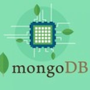 MongoDB - The Complete Developer's Guide 2020