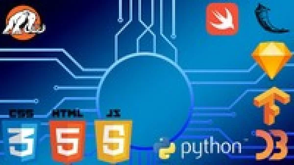 Machine Learning Masterclass: From Beginner to Advanced