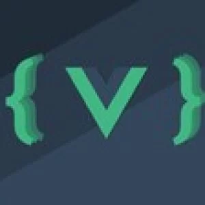 The complete Vue JS course