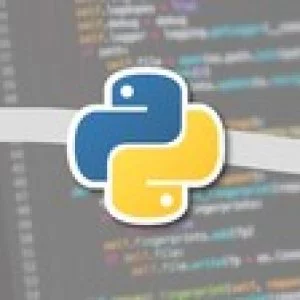 Python 3 - Learn the Basics and Go Pro