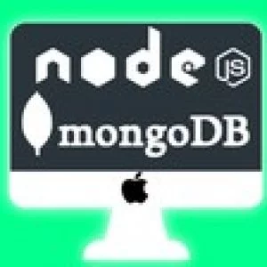 Node.js REST API with Express & MongoDB - Solid Architecture