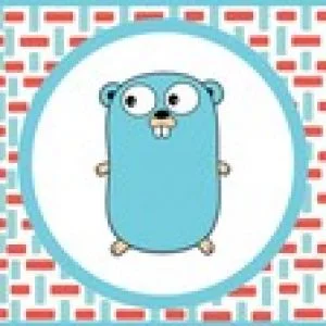 Mastering Hyperledger Chaincode Development using GoLang