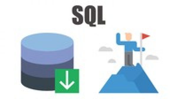 Business Analyst - SQL Survival Guide