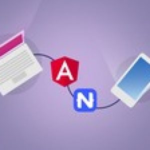 NativeScript + Angular: Build Native iOS, Android & Web Apps