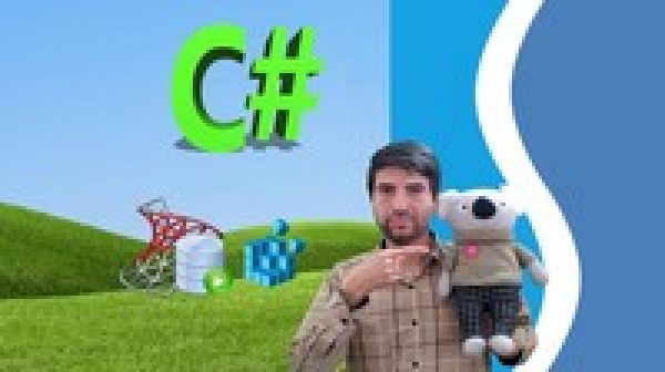 The Complete C# Course:Beginners to Pro C#|Stimul Report|SQL