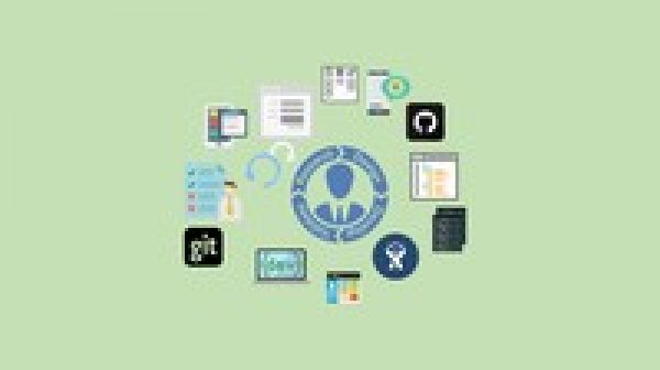 The Software Development Process - The Complete Course