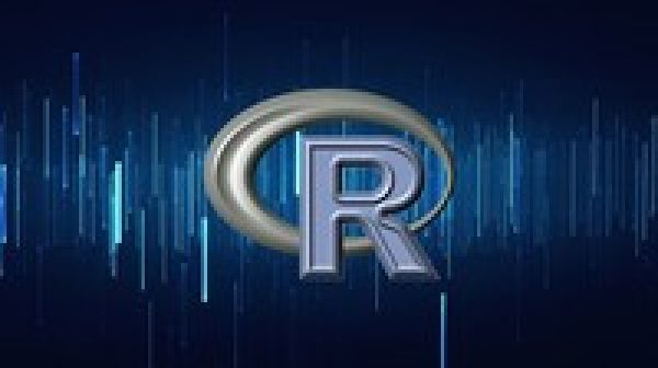 R Programming Language