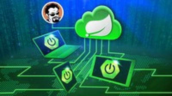 Spring Boot Microservices with Spring Cloud Beginner to Guru