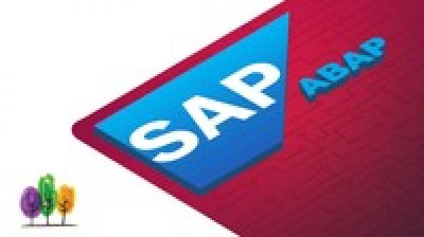 Learn SAP ABAP: SAP ABAP Programming Language For Beginners