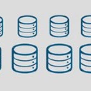 Introduction to Database Management Systems (DBMS)