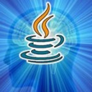 100+ Java Programming Questions