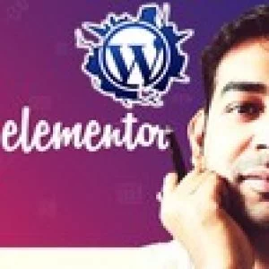 Elementor - Build Stunning WordPress Landing Page in minutes