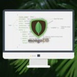 MongoDB - The Beginners Bootcamp