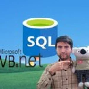 SQL in VB.Net Series:Beginners Database Apps by VB.Net & SQL