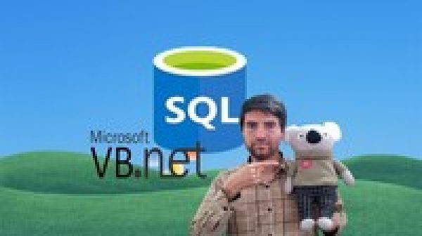 SQL in VB.Net Series:Beginners Database Apps by VB.Net & SQL